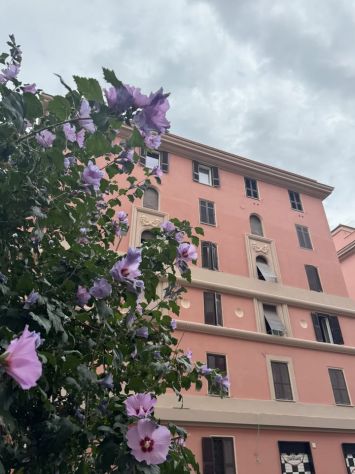 appartamento in affitto a Roma in zona Collatino