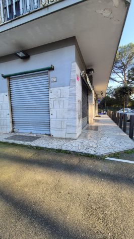 negozio in affitto a Roma in zona Tor Vergata/Torrenova