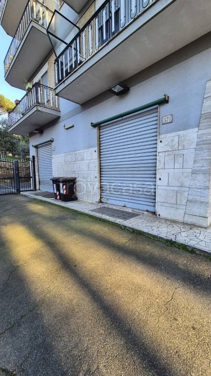 negozio in affitto a Roma in zona Tor Vergata/Torrenova