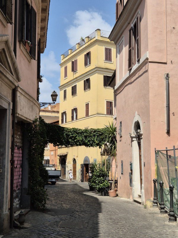 appartamento in affitto a Roma in zona Trastevere