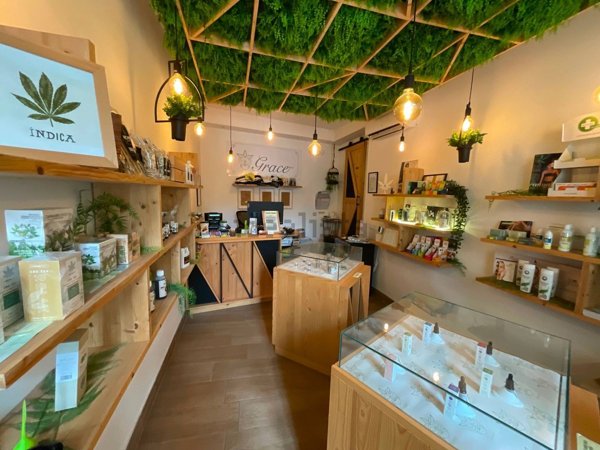 negozio in affitto a Roma in zona Pinciano