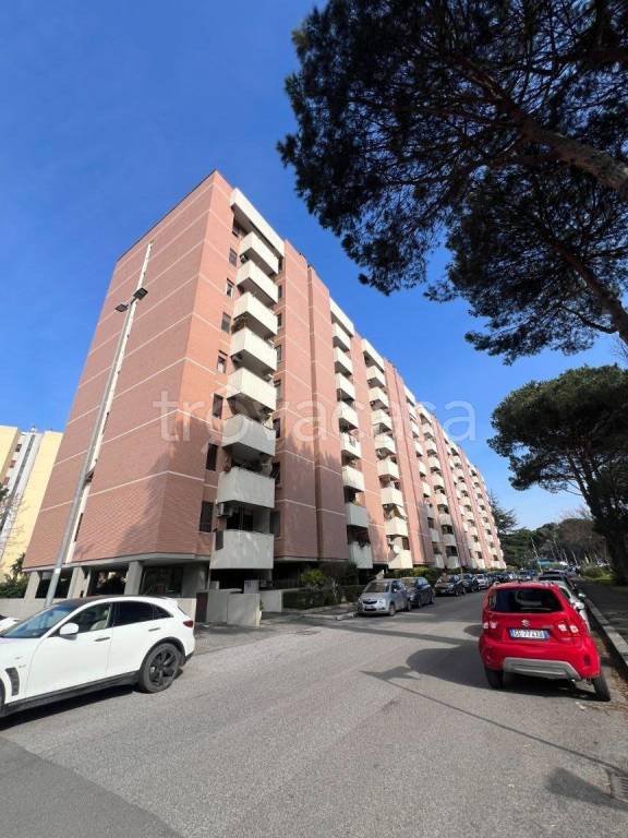 appartamento in affitto a Roma in zona EUR