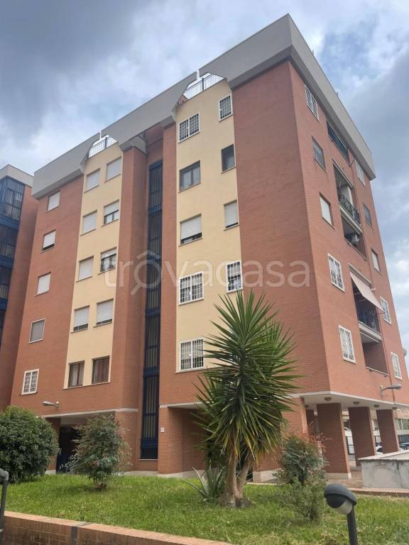 appartamento in affitto a Roma in zona Tor Vergata/Torrenova