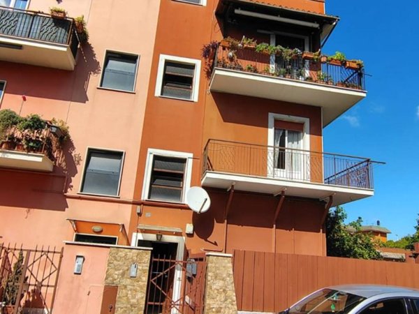 appartamento in affitto a Roma in zona Tor Vergata/Torrenova