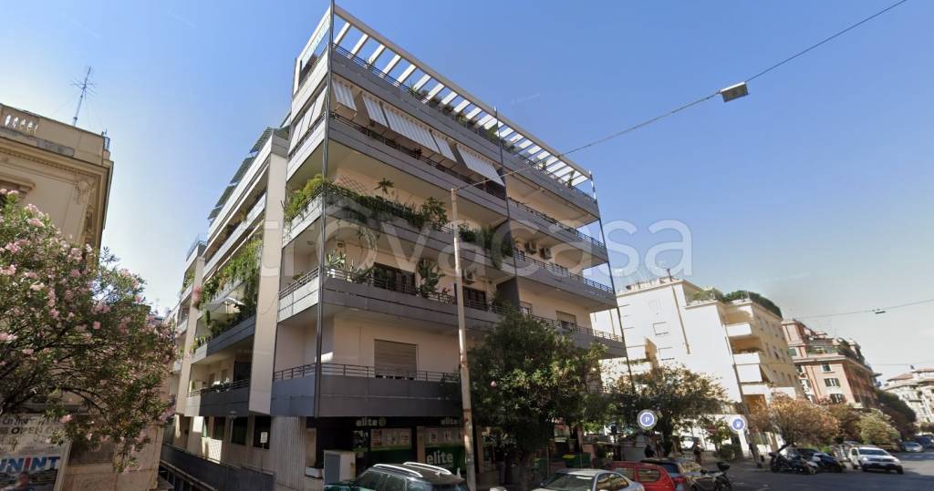 appartamento in affitto a Roma in zona Trieste