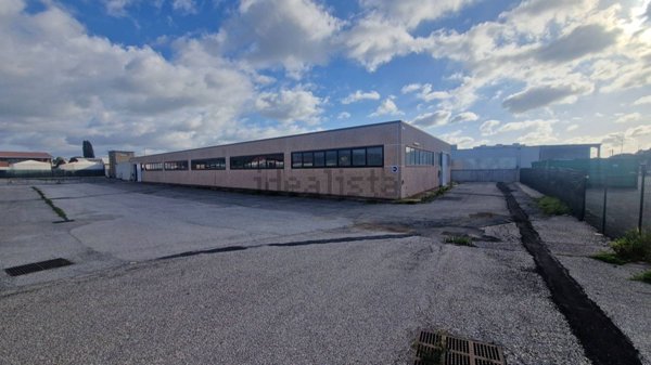 capannone in affitto a Roma in zona Appio Claudio