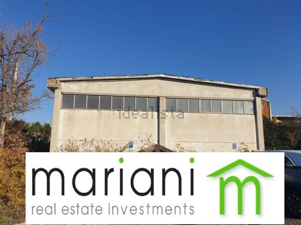 capannone in affitto a Roma in zona Tor Vergata/Torrenova