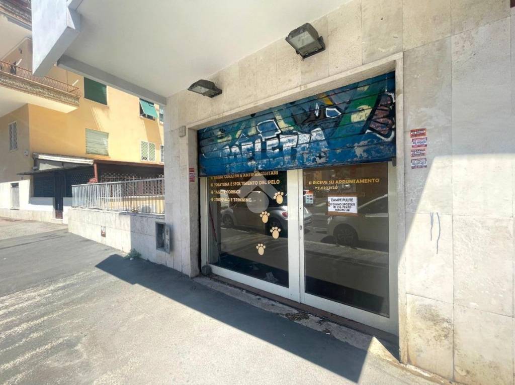 negozio in affitto a Roma in zona Monte Sacro/Talenti