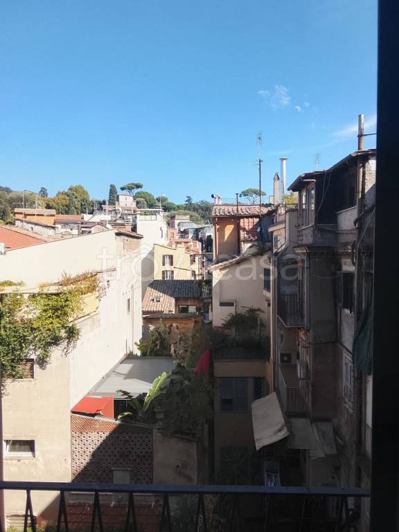 appartamento in affitto a Roma in zona Campo Marzio