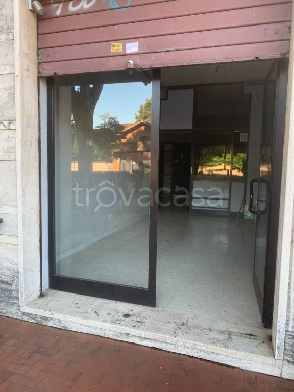 negozio in affitto a Roma in zona Acilia