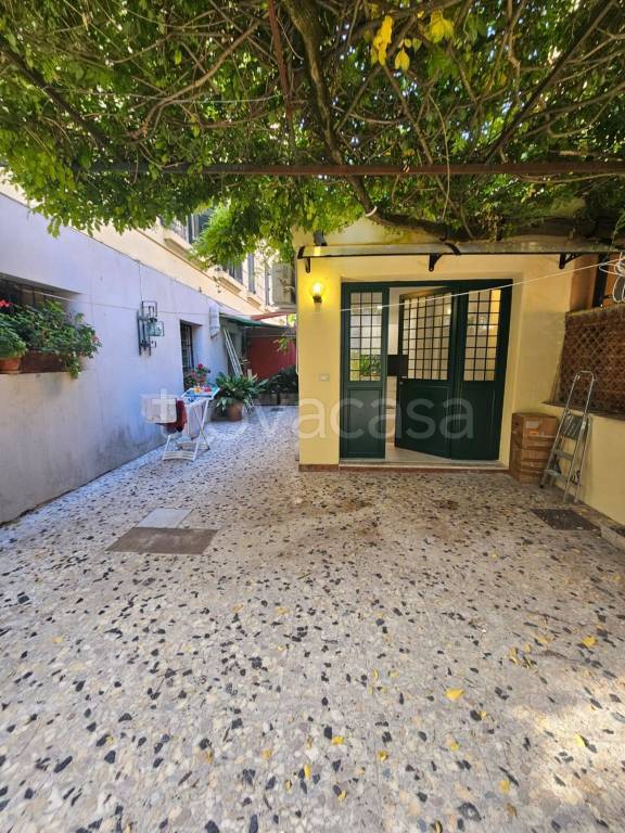 appartamento in affitto a Roma in zona Parioli