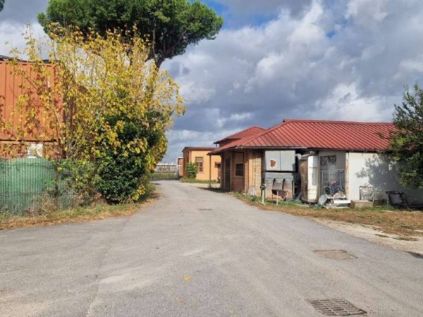 locale commerciale in affitto a Roma in zona Ponte Mammolo