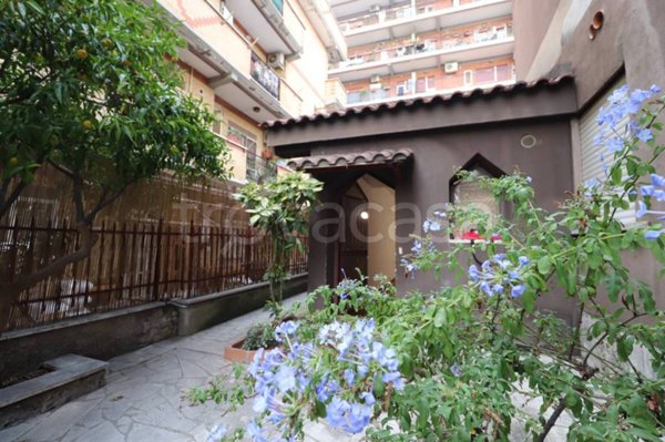 appartamento in affitto a Roma in zona Parioli