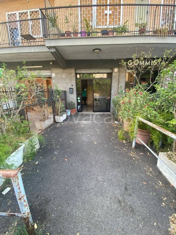 negozio in affitto a Roma in zona Torrevecchia