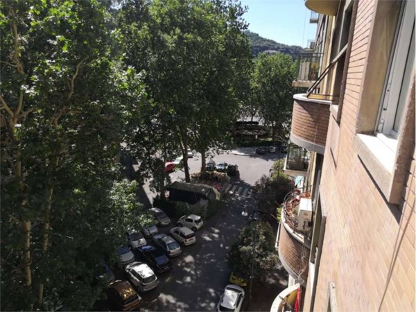 appartamento in affitto a Roma in zona Flaminio