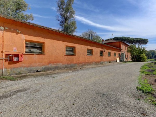 locale commerciale in affitto a Roma in zona Olgiata