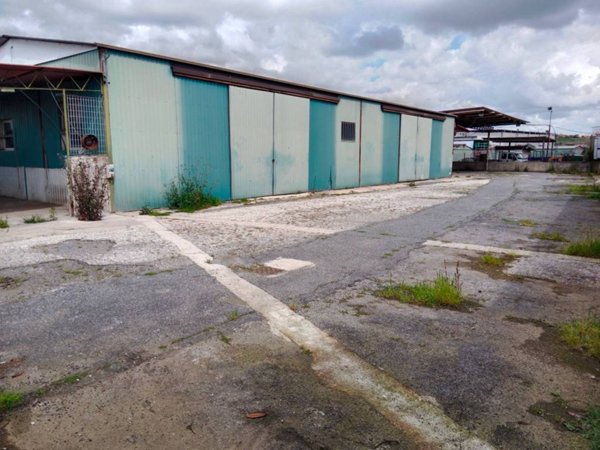 locale commerciale in affitto a Roma in zona Massimina/Casal Lumbroso