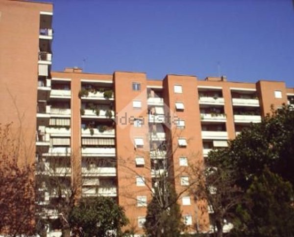 appartamento in affitto a Roma in zona Ponte Mammolo