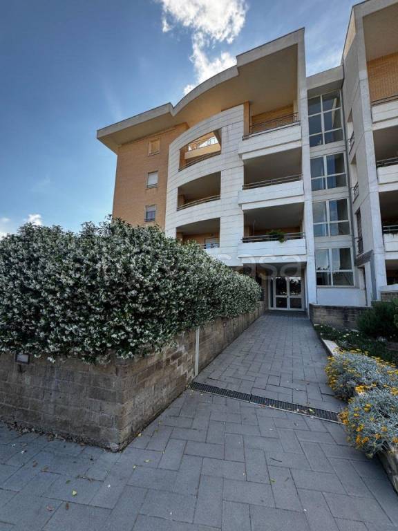 appartamento in affitto a Roma in zona Acilia