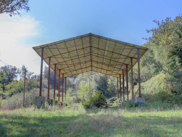 locale commerciale in affitto a Roma in zona Aurelio