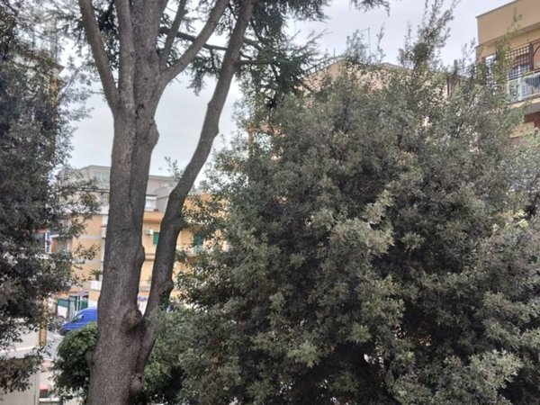 appartamento in affitto a Roma in zona Torrevecchia