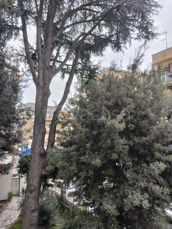 appartamento in affitto a Roma in zona Primavalle