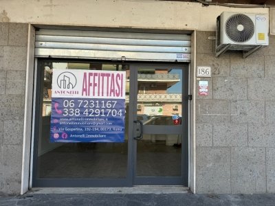 negozio in affitto a Roma in zona Tor Vergata/Torrenova