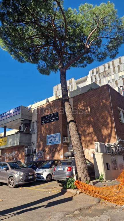 appartamento in affitto a Roma in zona Nomentano