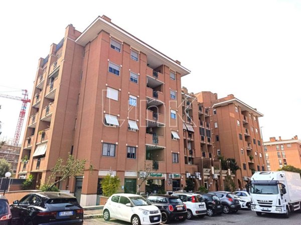 negozio in affitto a Roma in zona Tor Vergata/Torrenova