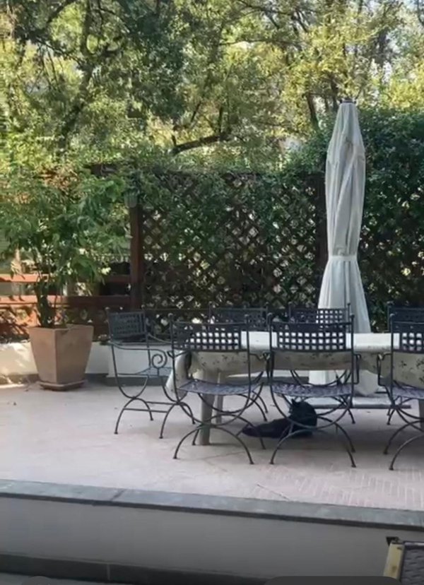 appartamento in affitto a Roma in zona Della Vittoria