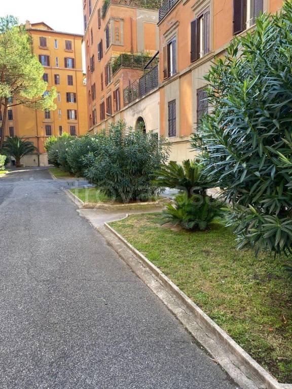 appartamento in affitto a Roma in zona Flaminio