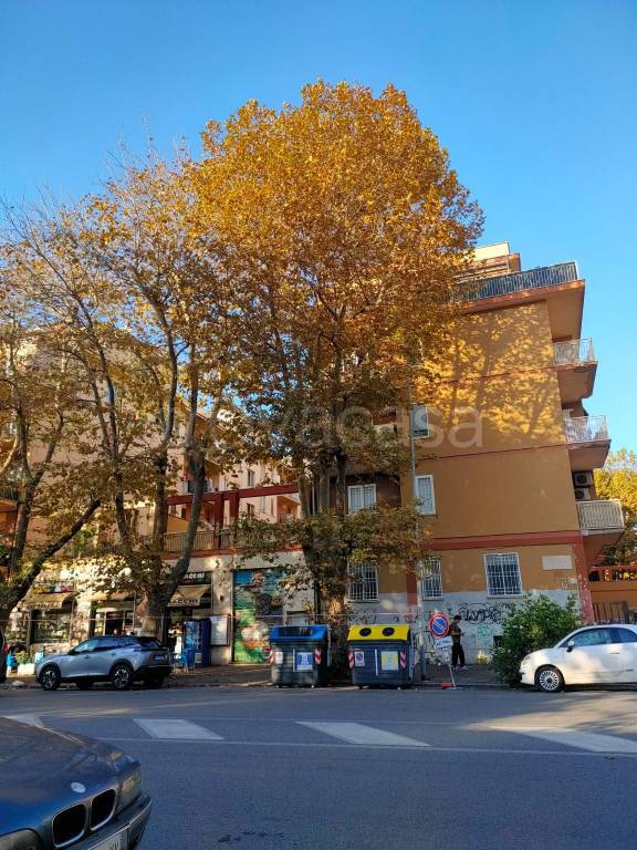 appartamento in affitto a Roma in zona Ostia