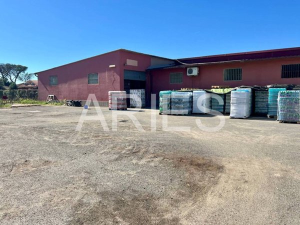 appartamento in affitto a Roma in zona Casal Palocco