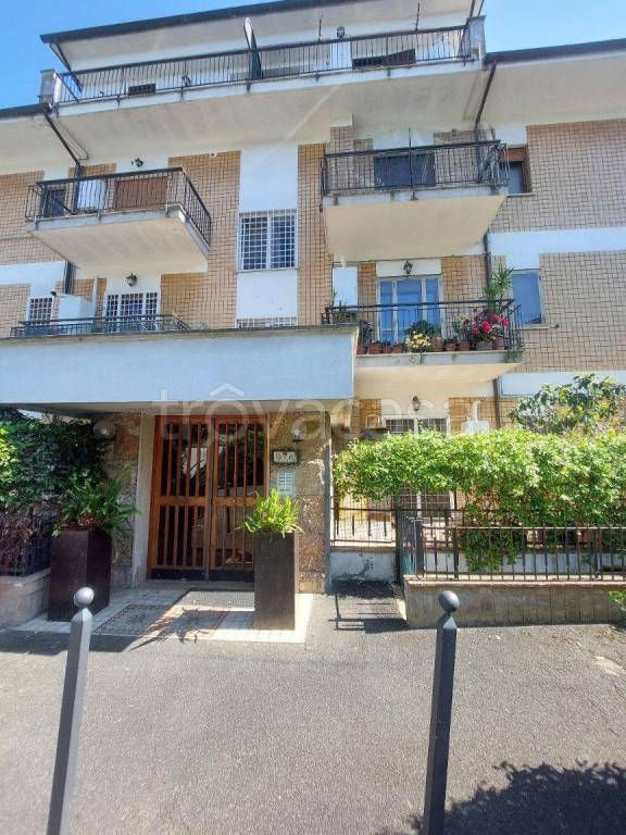 appartamento in affitto a Roma in zona Flaminio