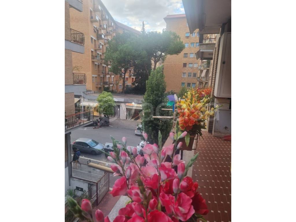 appartamento in affitto a Roma in zona Ardeatino