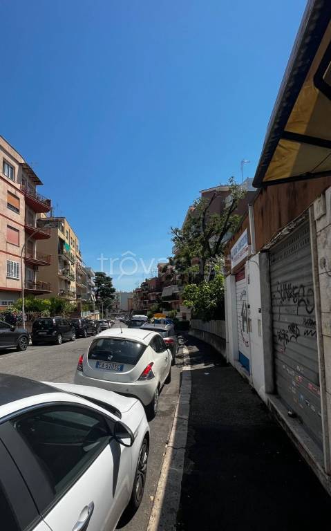 appartamento in affitto a Roma in zona Monte Sacro/Talenti