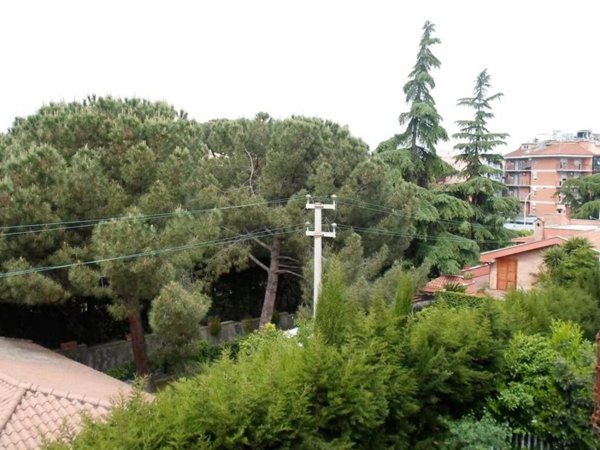 appartamento in affitto a Roma in zona Torre Maura