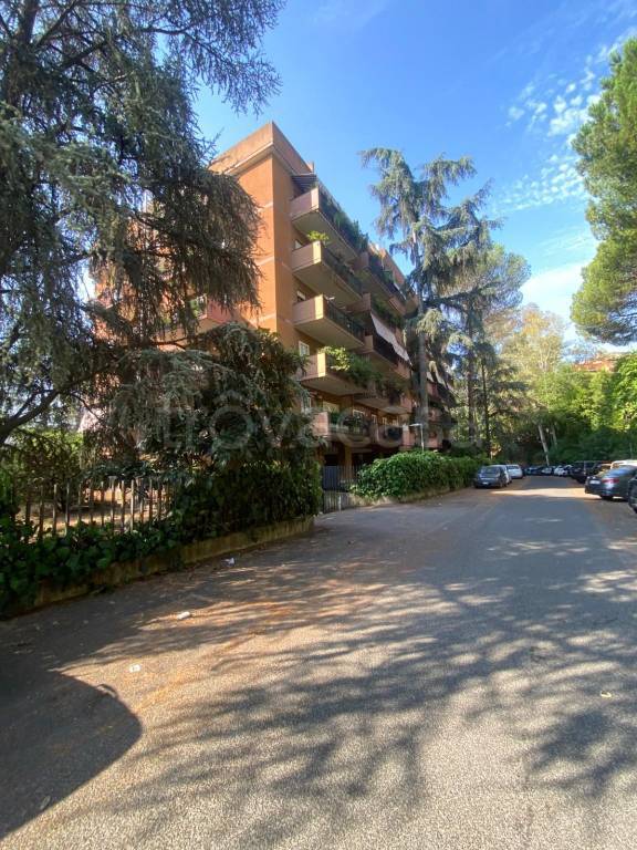 appartamento in affitto a Roma in zona Salario