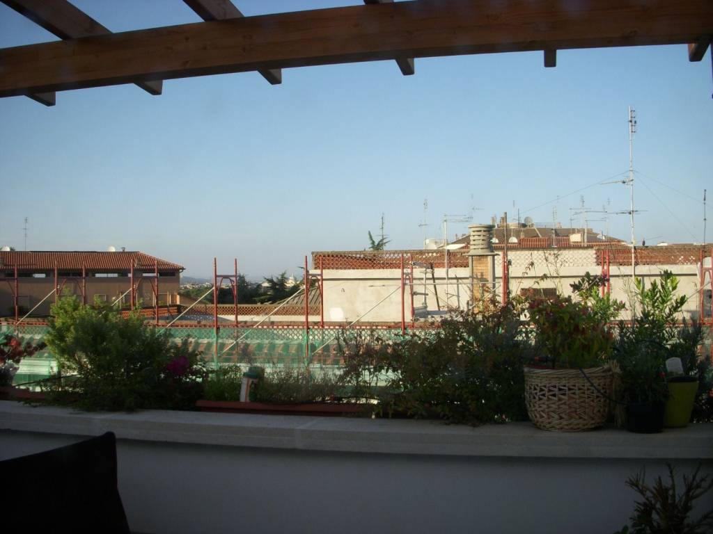 appartamento in affitto a Roma in zona Torrino