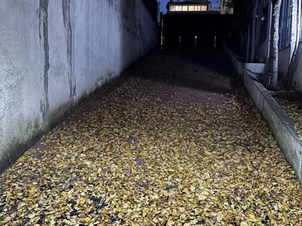 appartamento in affitto a Roma in zona Ponte di Nona