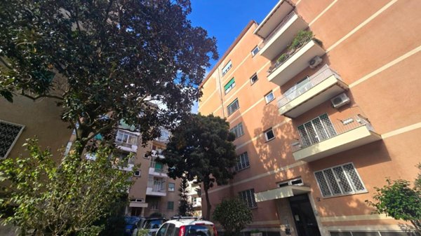 negozio in affitto a Roma in zona Monte Sacro/Talenti