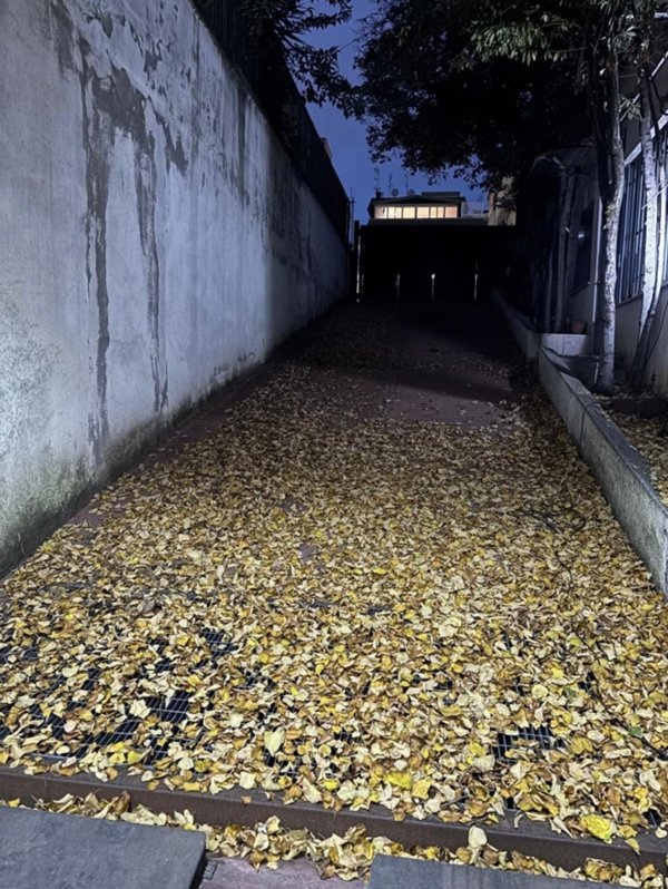 appartamento in affitto a Roma in zona Tor Vergata/Torrenova