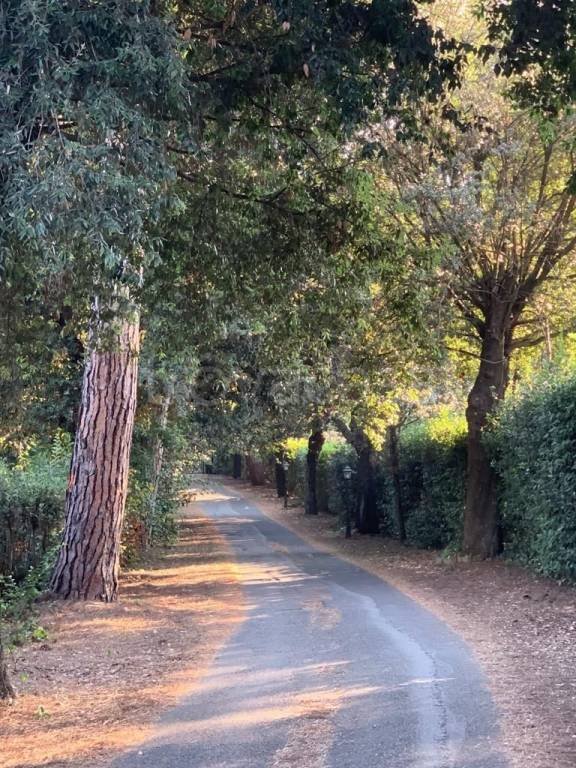 appartamento in affitto a Roma in zona Ardeatino