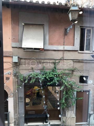 appartamento in affitto a Roma in zona Trastevere