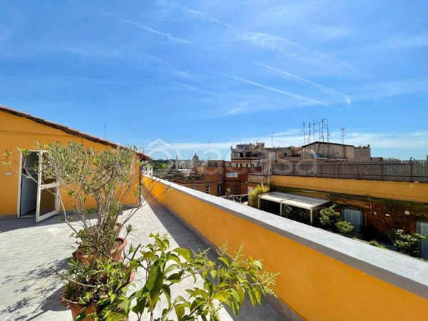 appartamento in affitto a Roma in zona Rione Prati