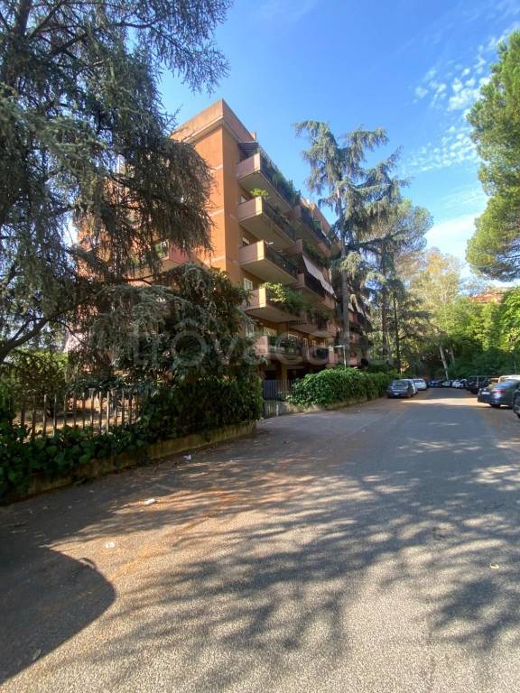 appartamento in affitto a Roma in zona Salario