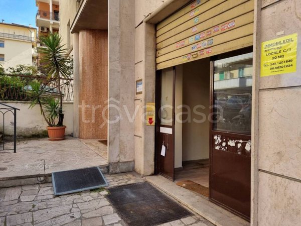 casa indipendente in affitto a Roma in zona Trieste