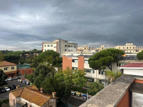 appartamento in affitto a Roma in zona Trionfale