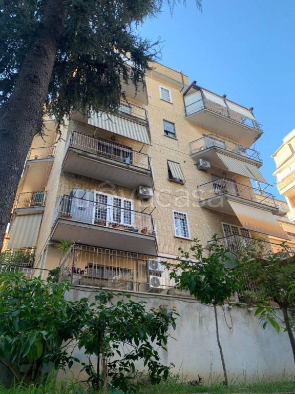 appartamento in affitto a Roma in zona Primavalle
