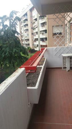 appartamento in affitto a Roma in zona Ardeatino